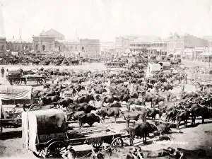 Morning market, Johannesburg, South Africa, c. 1900