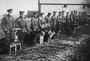 Morning parade at British War Dog School