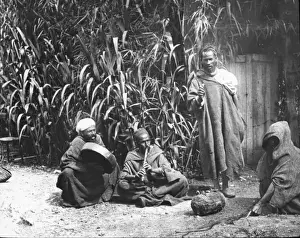 Charmers Prints: Morocco, North Africa - (Barber) Snake Charmers