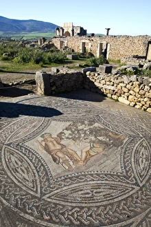 Images Dated 24th February 2011: MOROCCO. Volubilis. Ruins of the Roman city