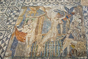 Images Dated 24th February 2011: MOROCCO. Volubilis. Ruins of the Roman city