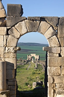Images Dated 24th February 2011: MOROCCO. Volubilis. Ruins of the Roman city