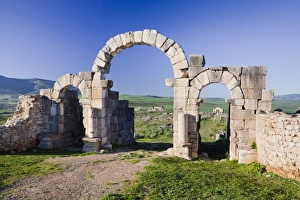 Images Dated 24th February 2011: MOROCCO. Volubilis. Ruins of the Roman city