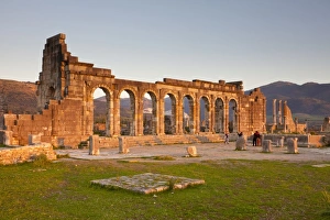 Images Dated 24th February 2011: MOROCCO. Volubilis. Ruins of the Roman city