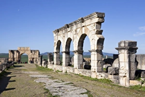 Images Dated 24th February 2011: MOROCCO. Volubilis. Ruins of the Roman city