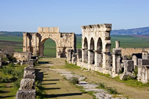 Images Dated 24th February 2011: MOROCCO. Volubilis. Ruins of the Roman city