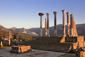 Images Dated 24th February 2011: MOROCCO. Volubilis. Ruins of the Roman city