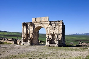 Images Dated 24th February 2011: MOROCCO. Volubilis. Ruins of the Roman city