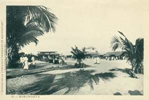 Madagascan Collection: Morondava, Madagascar