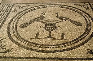 Images Dated 1st September 2007: Mosaic depicting two peacocks on a vase