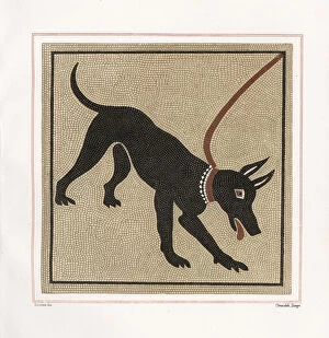 Mosaic of a dog from the porters threshold