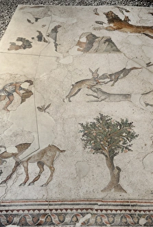 Images Dated 14th December 2013: Mosaic of the Great Palace Mosaic Museum. Istanbul