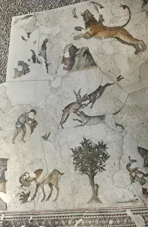 Mosaic of the Great Palace Mosaic Museum. Istanbul