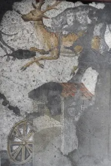 Mosaic of the Great Palace Mosaic Museum. Istanbul