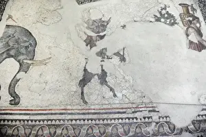 Mosaic of the Great Palace Mosaic Museum. Istanbul
