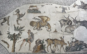 Images Dated 14th December 2013: Mosaic of the Great Palace Mosaic Museum. Istanbul