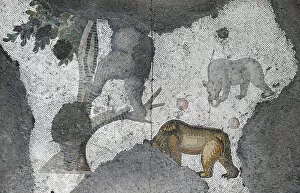 Images Dated 14th December 2013: Mosaic of the Great Palace Mosaic Museum. Istanbul