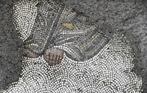 Images Dated 14th December 2013: Mosaic of the Great Palace Mosaic Museum. Istanbul