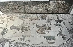 Images Dated 14th December 2013: Mosaic of the Great Palace Mosaic Museum. Istanbul
