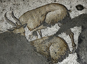 Images Dated 14th December 2013: Mosaic of the Great Palace Mosaic Museum. Istanbul