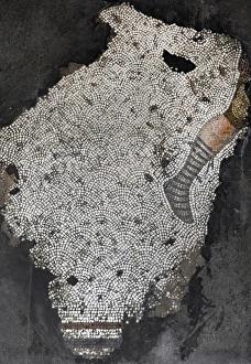 Images Dated 14th December 2013: Mosaic of the Great Palace Mosaic Museum. Istanbul