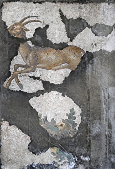 Images Dated 14th December 2013: Mosaic of the Great Palace Mosaic Museum. Istanbul