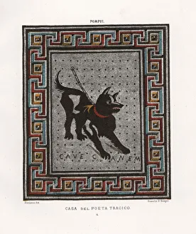 Beware Gallery: Mosaic of a guard dog on a chain from