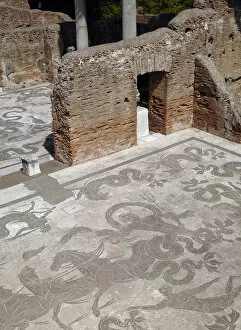 Antica Gallery: Mosaic of Neptunes Triumph at the Baths of Neptune. Ostia A