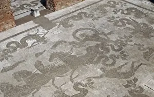 Mosaic of Neptunes Triumph at the Baths of Neptune. Ostia A