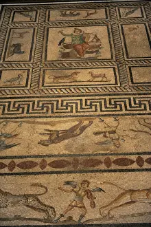 Dining Prints: Mosaic of Orpheus. Miletus. Pergamon Museum. Berlin. Germany