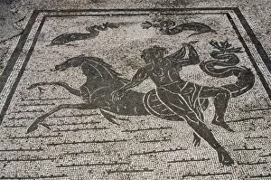 Images Dated 5th April 2009: Mosaic of the Square of the Guilds or Corporations. Ostia An