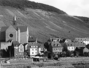 Vineyards Prints: Moselle Valley