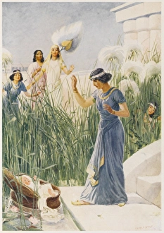 Bible Event/Ot/Moses