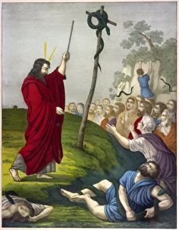 Bible Event/Ot/Moses