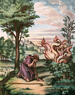 Bible Event/Ot/Moses