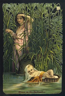 Adrift Gallery: Moses Cast Adrift