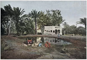 Palms Collection: Moses Fountain. Date: circa 1890