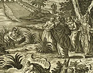 Moses rescued from the Nile. Engraving