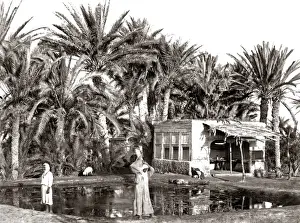 Well Prints: Well of Moses in the Sinai, circa 1880s