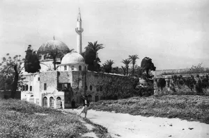 Acre Gallery: Mosque at Acre, Galilee, Northern Israel