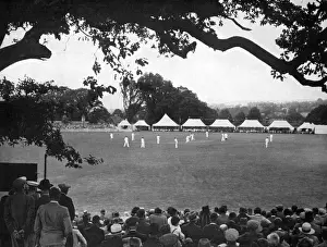 Mote Prints: Mote Park, Maidstone