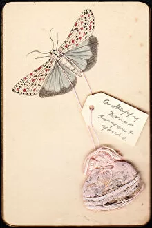 Handmade Collection: Moth on a handmade Christmas card
