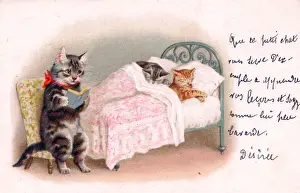Bedtime Prints: Mother cat reading to kittens on a postcard
