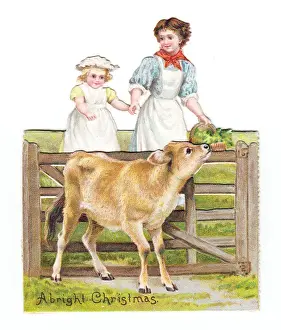 Calves Prints: Mother, daughter and calf on a cutout Christmas card
