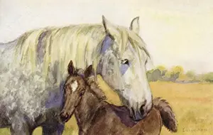 Mother and foal