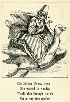 Images Dated 25th November 2011: Mother Goose