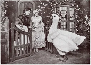 Images Dated 20th November 2019: Mother Goose at the London Hippodrome