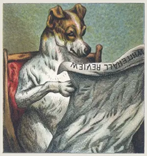 Hubbard Prints: Mother Hubbard / Reading