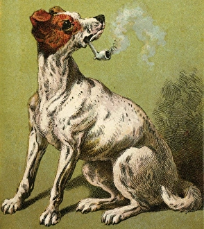 Images Dated 14th November 2011: Mother Hubbard / Smoking