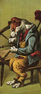 Images Dated 14th November 2011: Mother Hubbard / Spinning